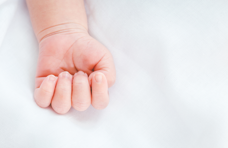 New born baby hand on white background