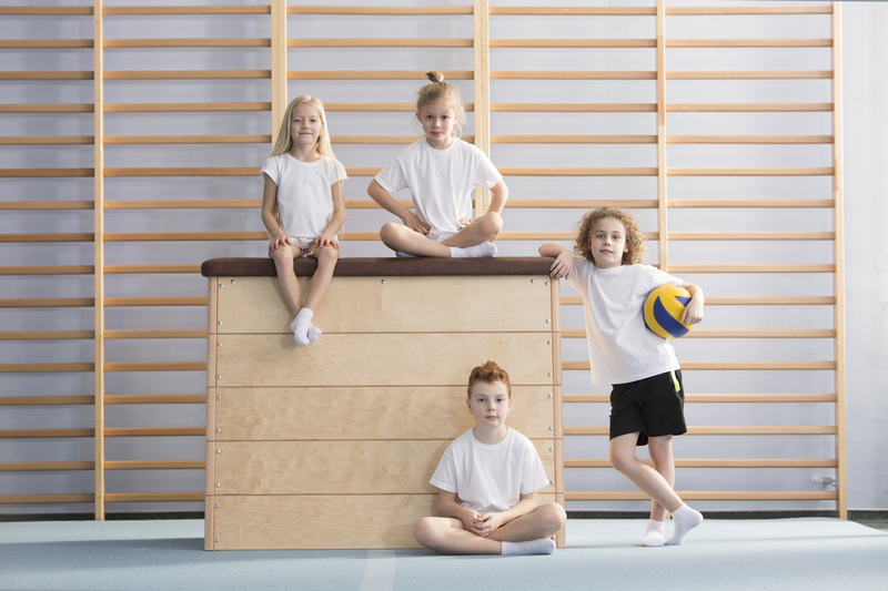 Boy with a ball next to a wooden vaulting box on which smiling children are sitting in front of the gymnastics stall bars