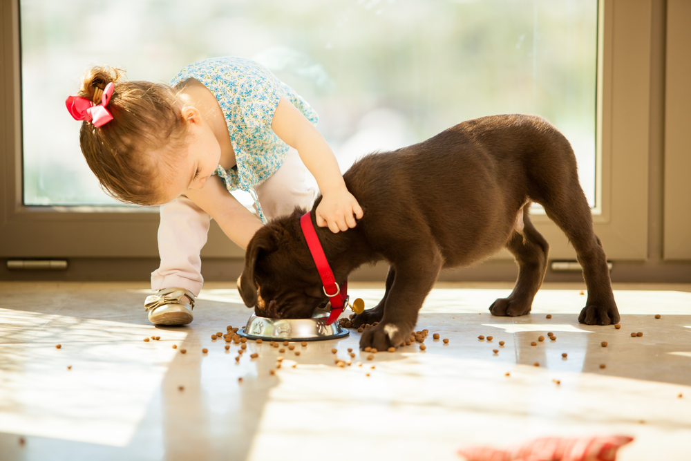 little girl helping dog eat food in a dish on the floor